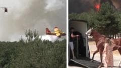 Paris Fire Threatens Lives: Urgent Evacuations at Riding Centre