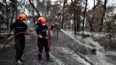 Volunteer Firefighter Linked to Catastrophic Forest Blaze in France