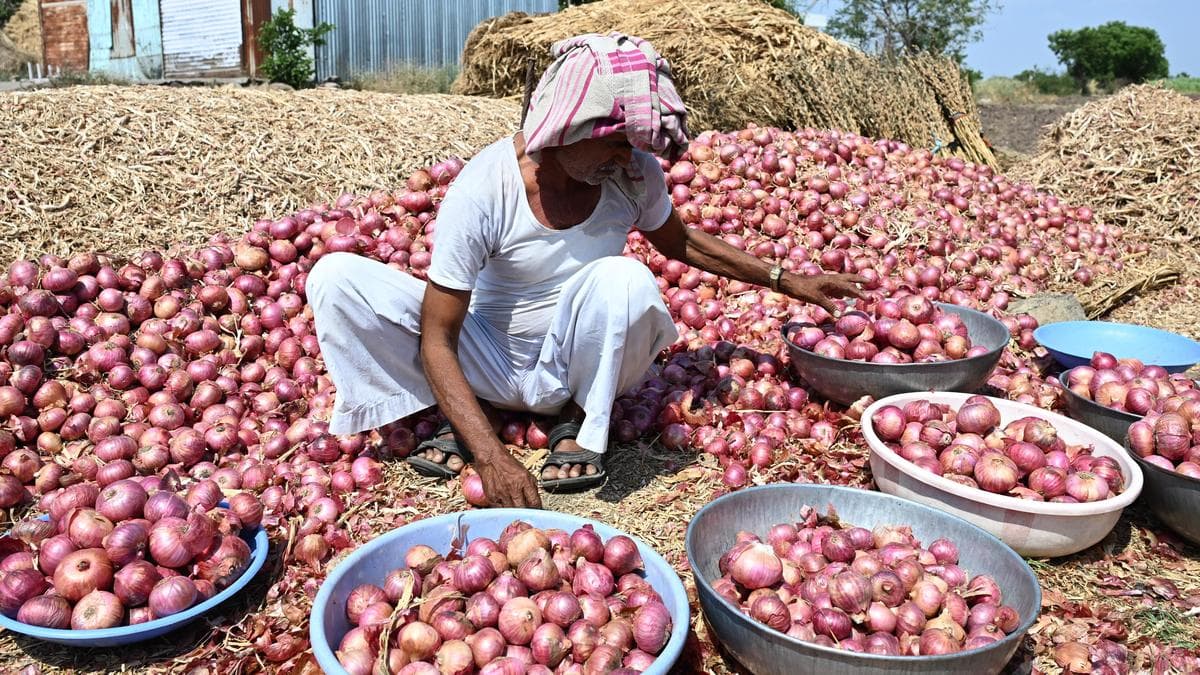 Maharashtra Farmers Demand Equal Attention Amidst Natural Calamities